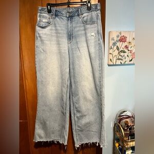 American Eagle Outfitters Light Blue Denim Jeans